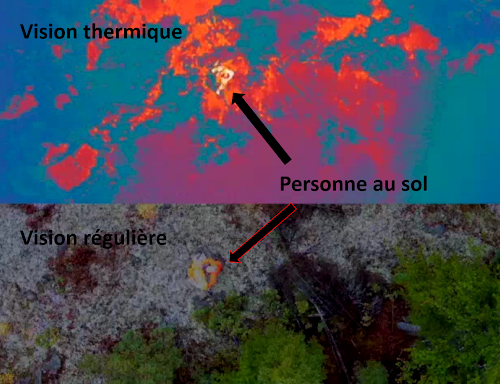 Assistance personnes, recherche bétail